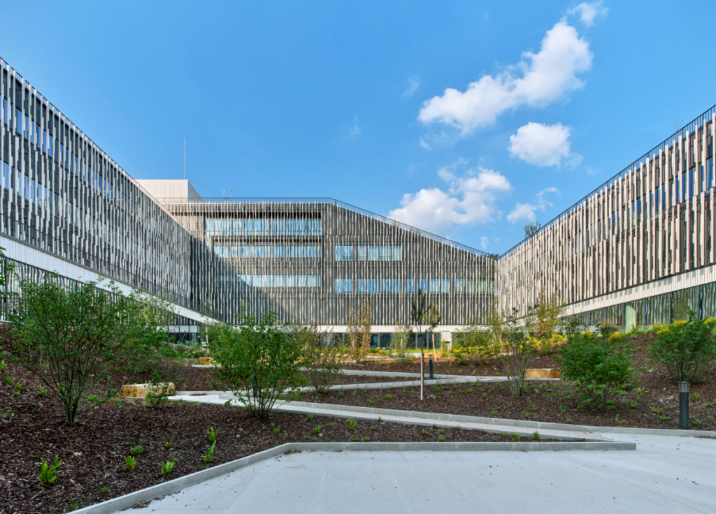 Journée régionale IHF – région Ile De France – Jeudi 11 décembre – Montreuil