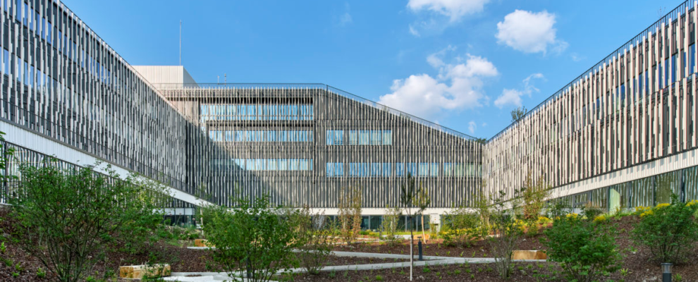 Journée régionale IHF – région Ile De France – Jeudi 11 décembre – Montreuil 1 Journée régionale IHF – région Ile De France – Jeudi 11 décembre – Montreuil 1